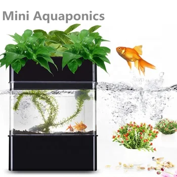 Domov Mini Hydroponics Aquaponics Rastlín Rastúcich Systémy s akvárium